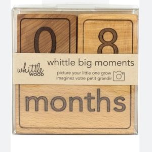 Whittle Big Moments Milestone Blocks